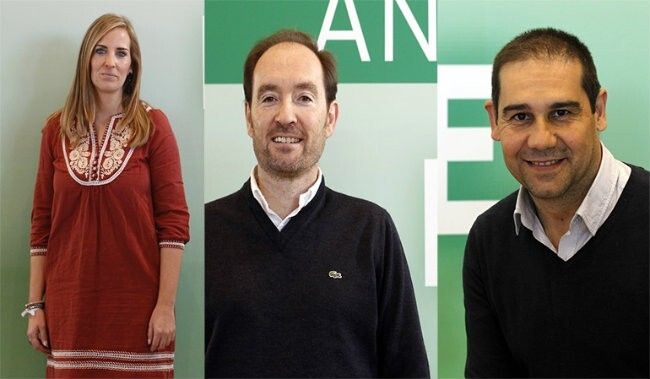 Elena Ruiz, José Fernández y José Luis Ramos, en la Ejecutiva del PSOE de Andalucía