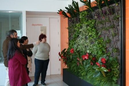 Calañas se une a la experiencia de los Jardines Verticales en paredes de edificios municipales