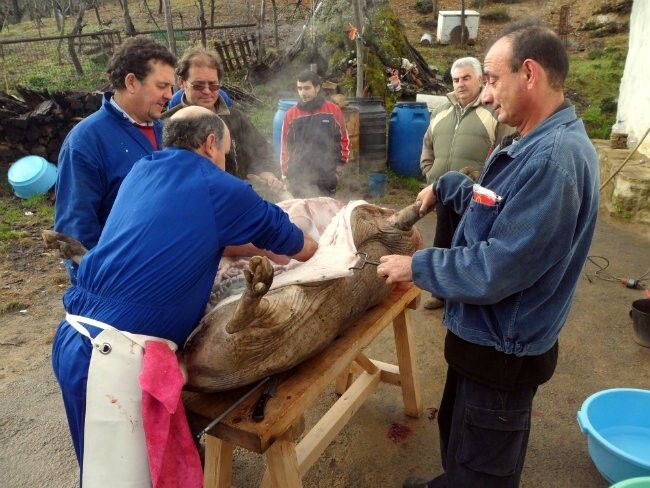 Cala celebra este sábado su Feria de la matanza del Cerdo Ibérico