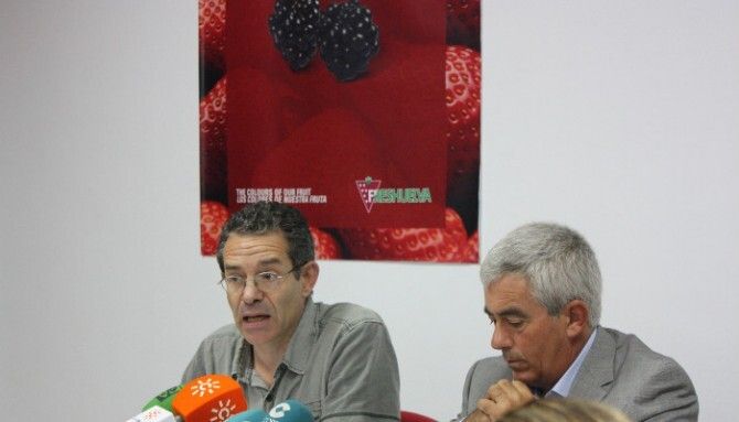 Freshuelva valora en 3 millones de euros las pérdidas causadas por la alerta sanitaria en Alemania