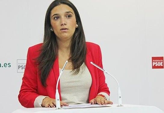 Doblado pide disculpas tras tildar el PSOE de 'machistas' y 'repugnantes' sus declaraciones