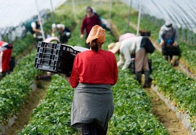 Huelva es la provincia española donde más subió el paro en junio