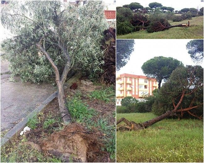 El temporal causa estragos en Mazagón