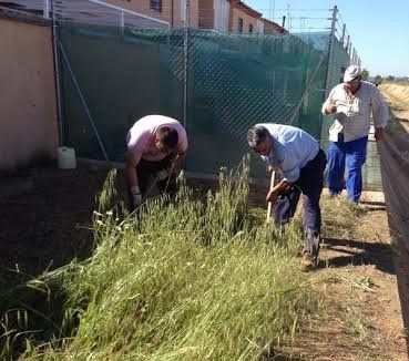 Se inician los trabajos en San Juan para prevenir incendios y plagas de insectos