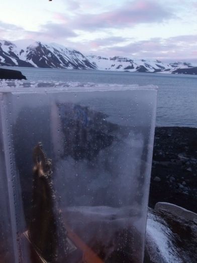 ¿Una Virgen del Rocío en la Antártida?