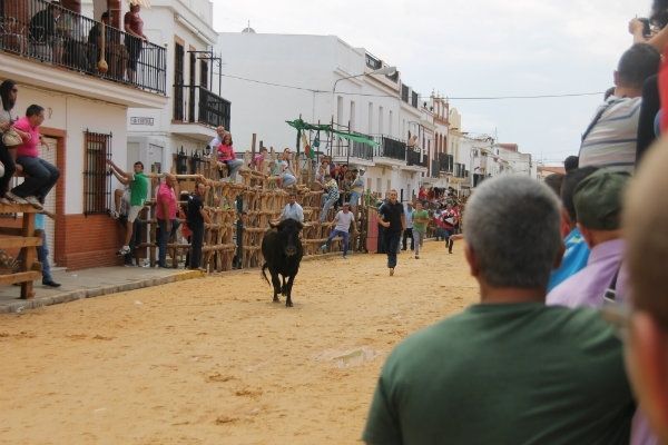 Las reses de Cuadri y Millares ponen el punto y final a las capeas de San Juan