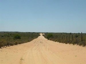 Doñana tuvo en 2010 menos incendios que en los anteriores seis veranos