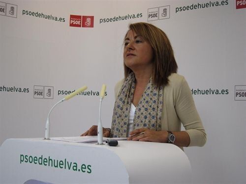 El PSOE celebra la licitación de las obras de un nuevo centro tecnológico en el PCTH de 7.500 metros