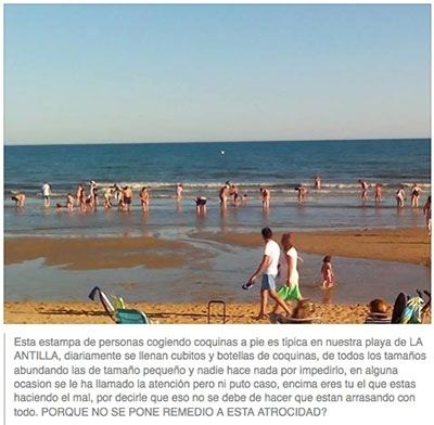 El runrún: Los anti ORA de Punta pasan a la acción
