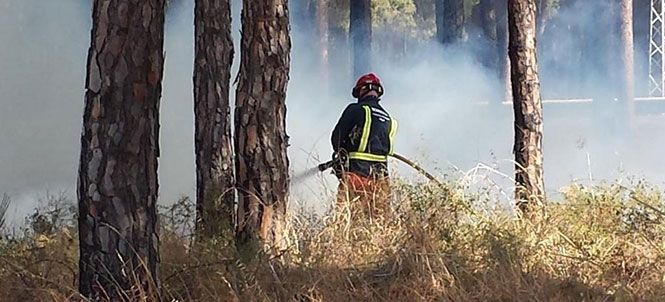 Bomberos trabajan en la extinción de un incendio de pasto en Bonares