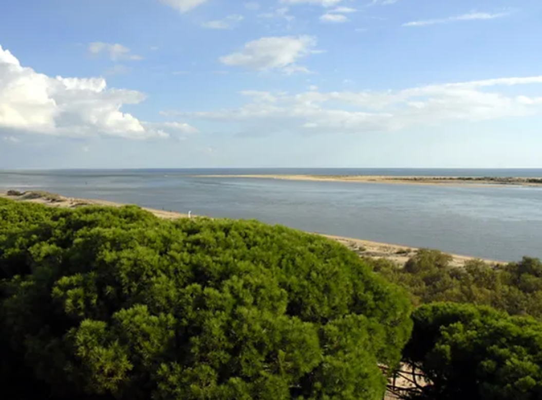 Mirador de San Miguel