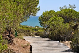 Seis senderos en la costa de Huelva para perderte este verano