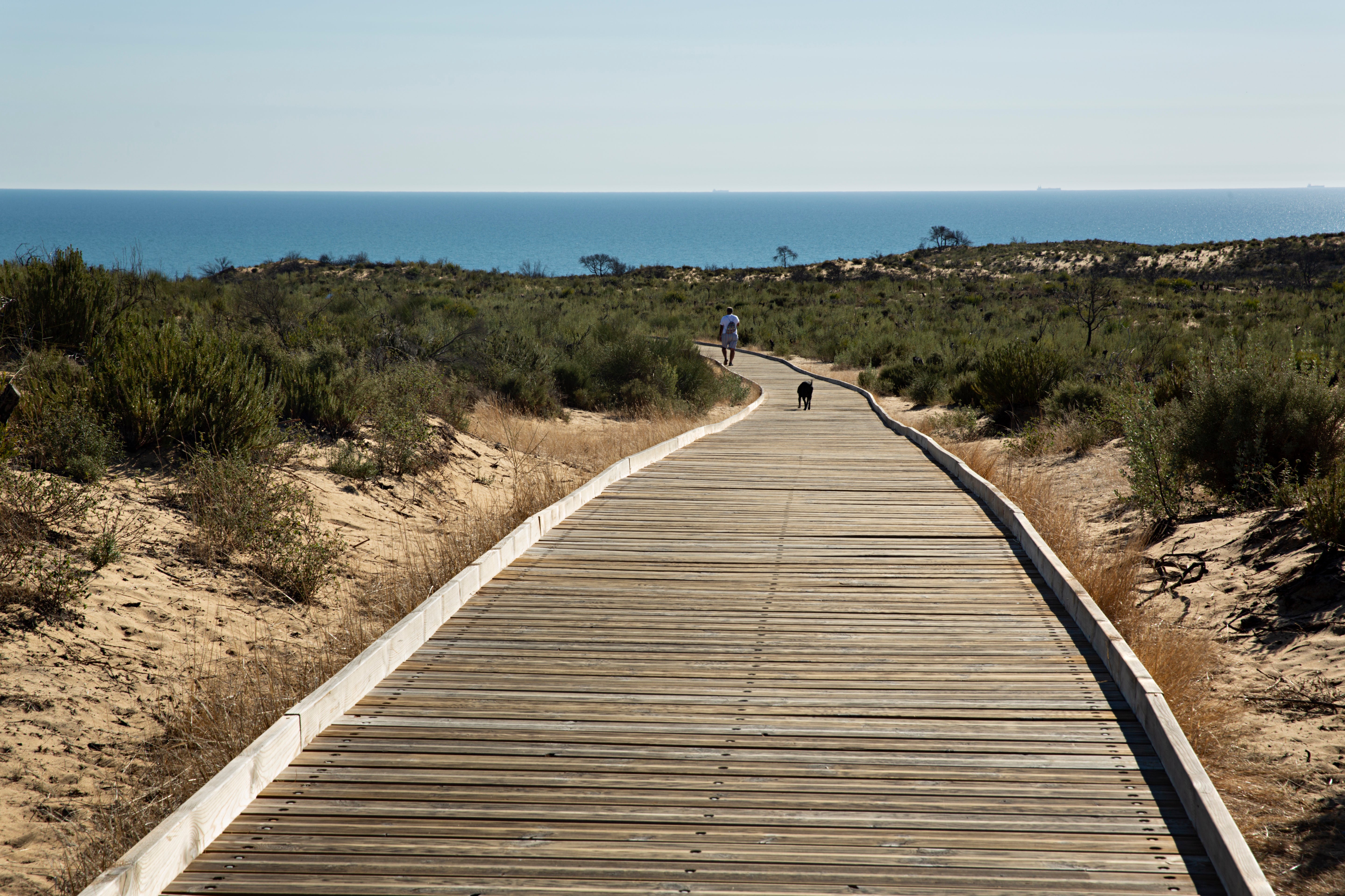 Sendero de Cuesta Maneli que da acceso a la playa