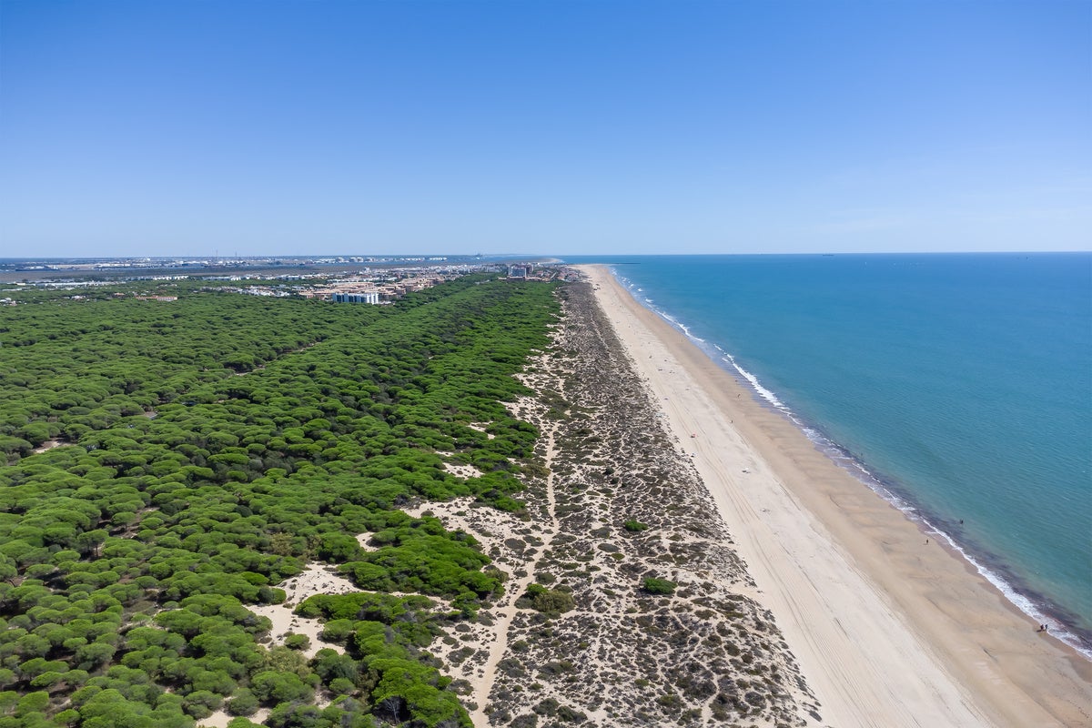 Vista aérea de la Playa de los Enebrales, una de las playas vírgenes que tienes que descubrir este verano