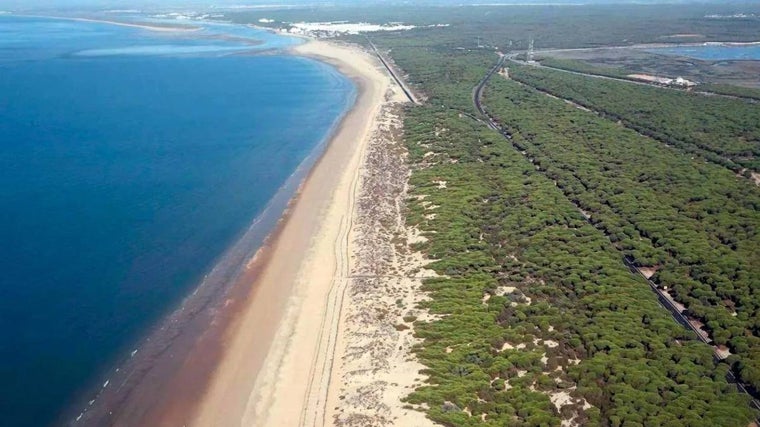 Vista aérea de la playa de Los Enebrales