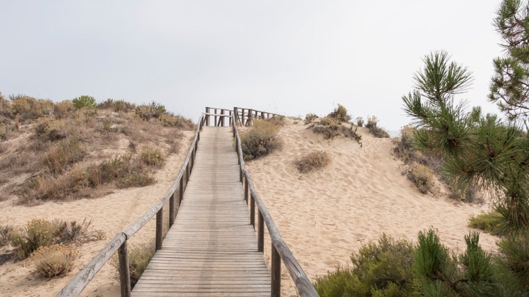 Acceso a la playa de Los Enebrales