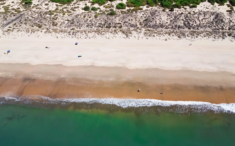 Imagen principal - En esta playa de Huelva puedes ver camaleones en libertad: un auténtico paraíso natural en medio de la costa