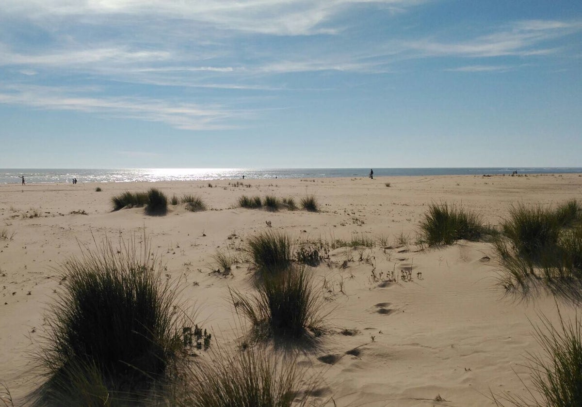 Esta es la playa de Huelva a la que tienes que ir si quieres 'gozar de la tranquilidad', según Traveler