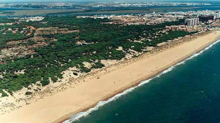 Cinco playas naturales e interminables de Huelva que tienes que visitar: paraísos rodeados de dunas y pinares