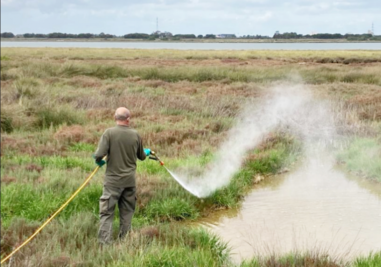 En marcha el plan contra los mosquitos en 12 municipios de la provincia