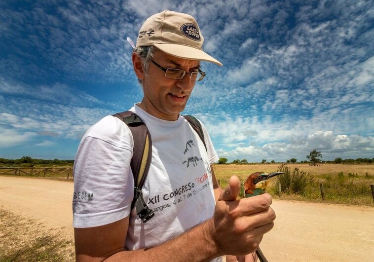 El director de la Estación Biológica de Doñana, Eloy Revilla