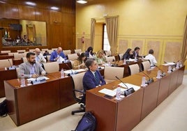 Martes maratoniano de comparecencias en el Parlamento por los regadíos de Doñana