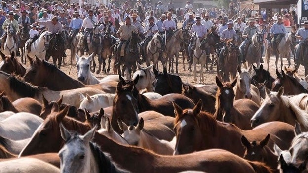 La tradición de la Saca de las Yeguas no se regularizó hasta 1504