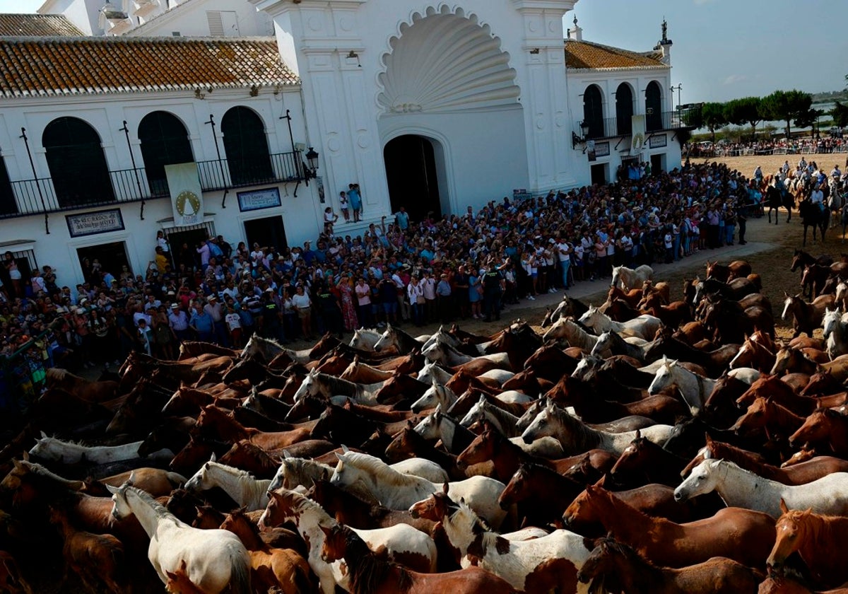 La Saca de las Yeguas 2023 se celebrará el lunes 26 de junio