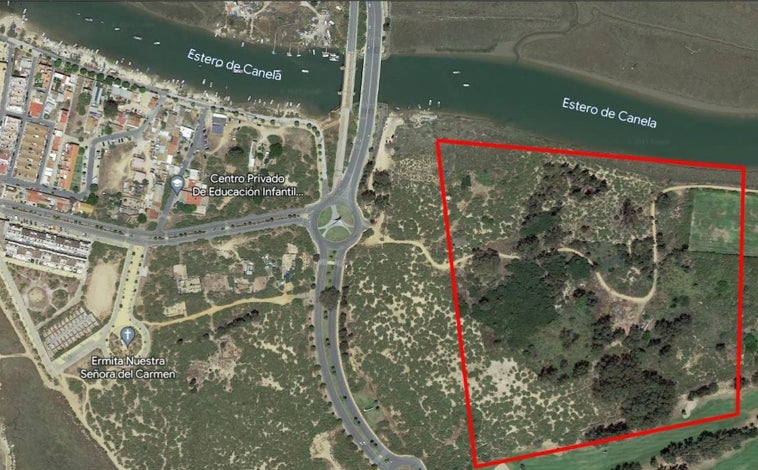 Imagen principal - Diferentes estampas de la zona donde se ha producido la tala de árboles