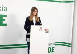 El PSOE espera que el presidente de la Diputación «selle este martes un compromiso con la Sierra»