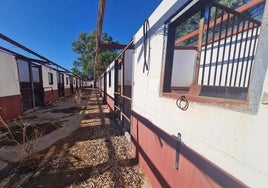 Almonte denuncia el «saqueo» de las instalaciones hípicas municipales de El Rocío con pérdidas millonarias