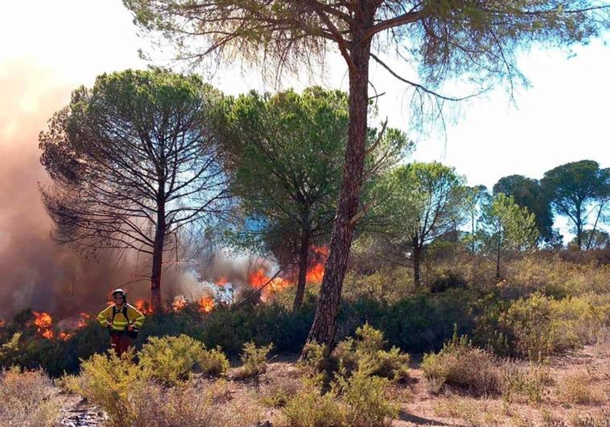 Imagen de archivo del incendio que el pasado mes de agosto afectó a Bonares