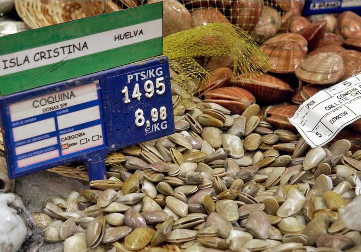 Coquinas en un mercado de Isla Cristina