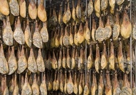 Feria del Jamón y el Cerdo Ibérico en Aracena 2023: programación, actividades, fechas y horarios