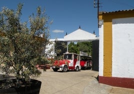 Tren del vino en Bollullos Par del Condado: precio, fechas y horarios de la ruta enogastronómica