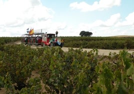 ¿Qué es el Vinotren que recorre las bodegas de Bollullos por la Semana de Viticultura y Enología 2023?