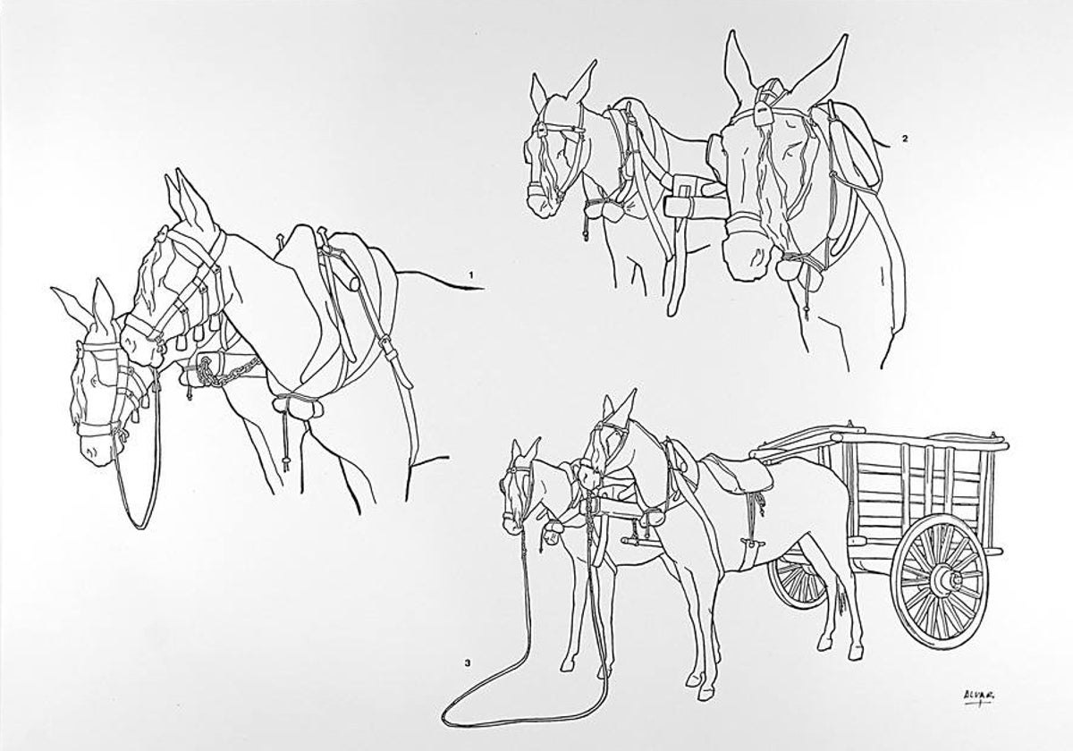 Uno de los dibujos de Julio Alvar