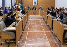 La Diputación aprueba prorrogar por un año los contratos de la prestación del Servicio de Ayuda a Domicilio