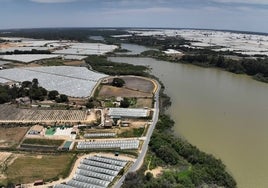 Ecologistas en acción exige a la Junta de Andalucía que inicie la renaturalización del Estero Domingo Rubio