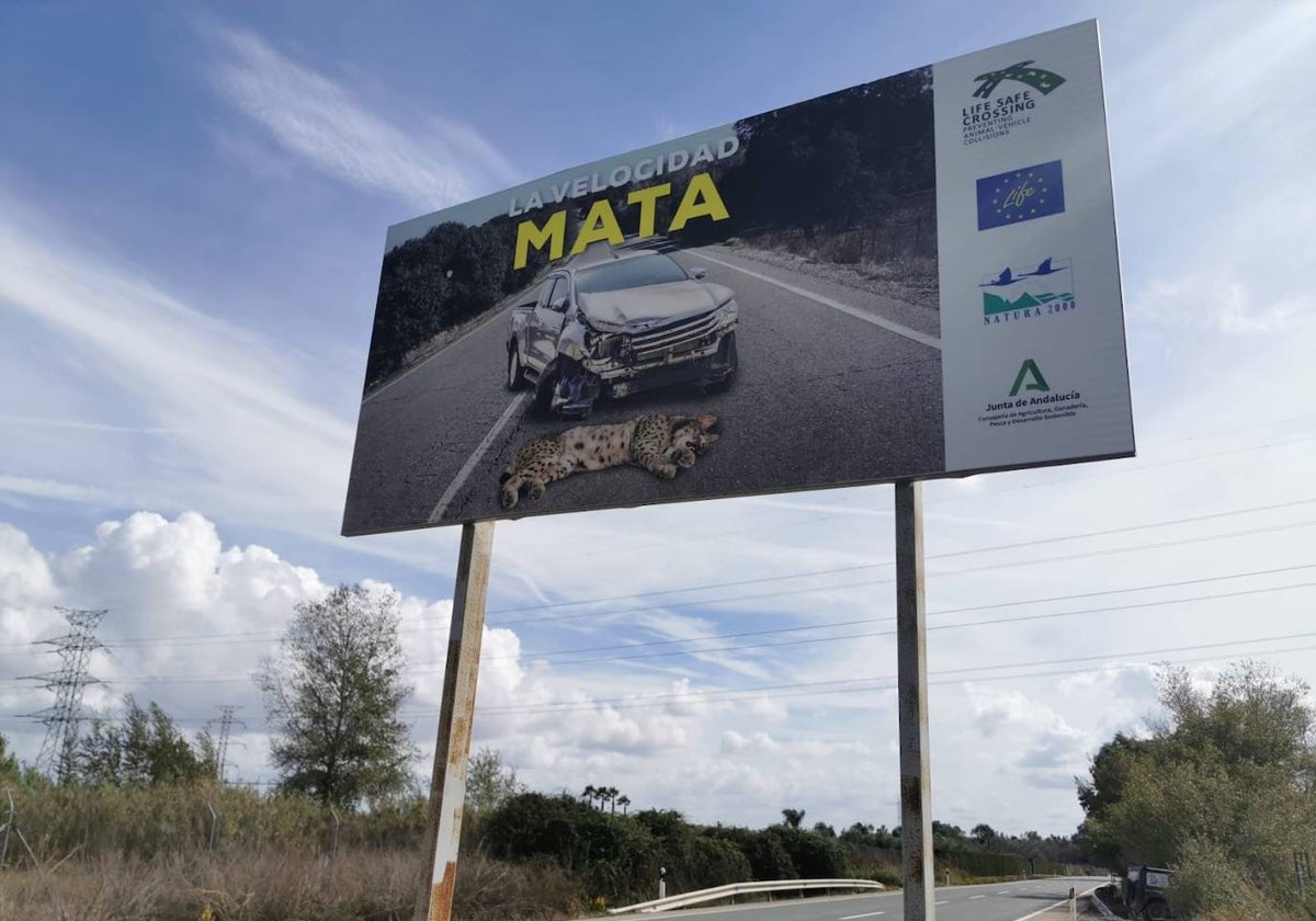 Señalización repuesta en la carretera de Hinojos