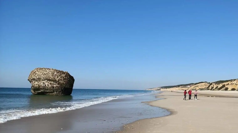 Torre de la Higuera en la playa de Matalascañas