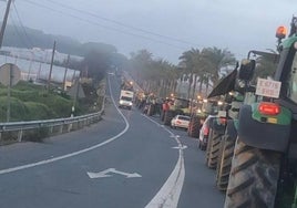 Agricultores de Huelva marchan en una nueva tractorada de protesta hacia la capital