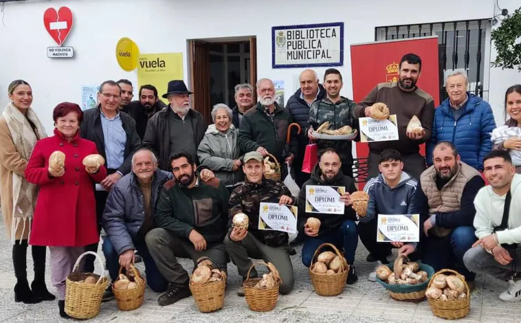 Imagen principal - El gurumelo, uno de los productos estrella de la sierra de Huelva, reunió a 15 participantes en el concurso en Zalamea la Real