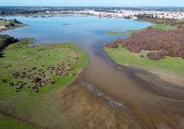 El Gobierno aborda este martes en Sevilla con 14 municipios el reparto de los 70 millones  del Plan Doñana