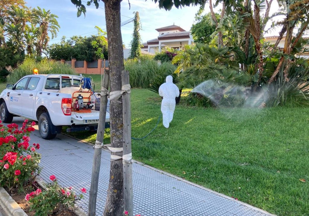 Operario de Diputación aplicando un tratamiento antiplagas