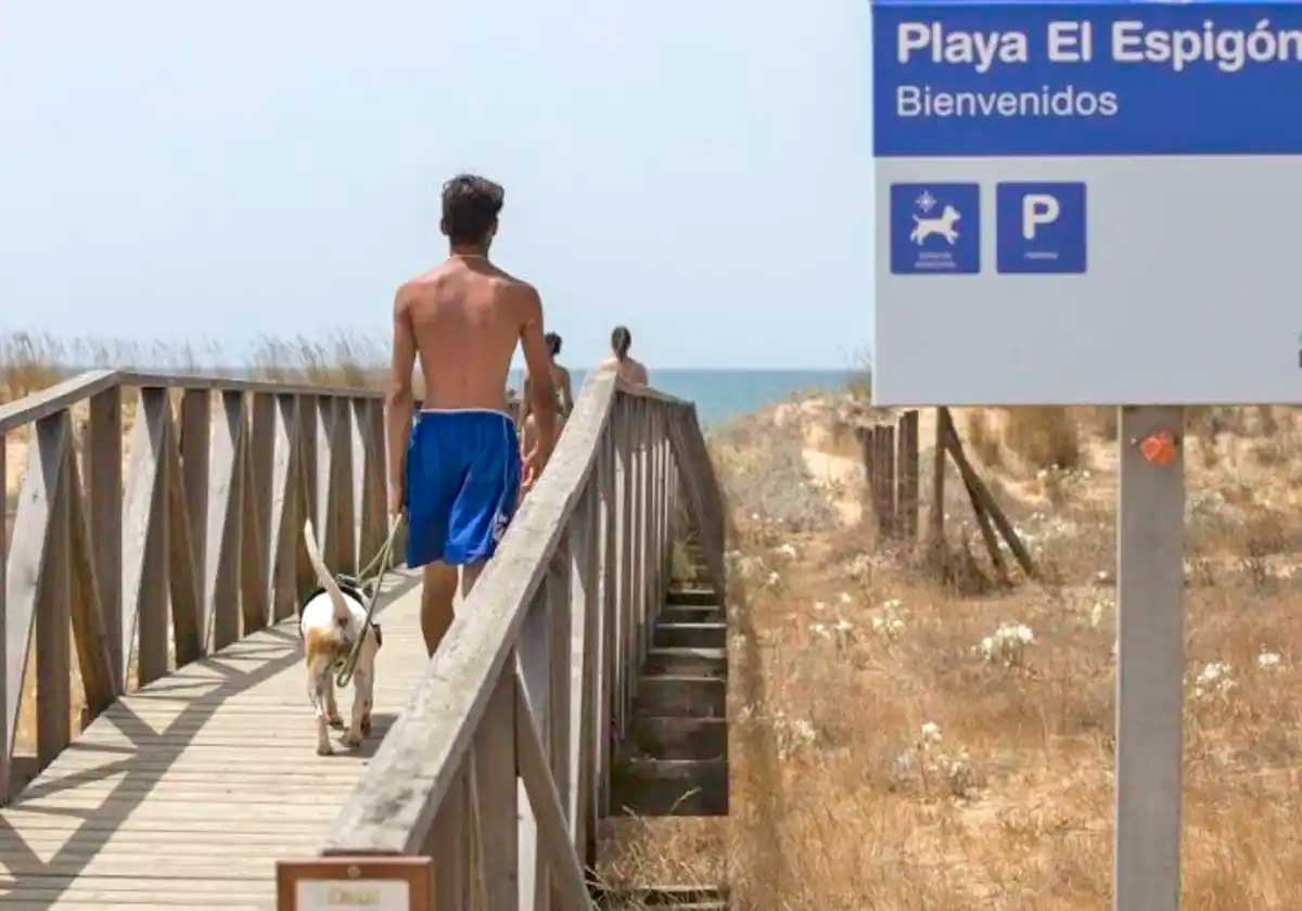 Un joven con su perro en la playa de El Espigón de Huelva capital