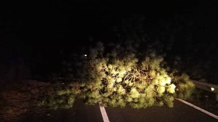 La mayoría de las incidencias fue debida a la caída de árboles y ramas