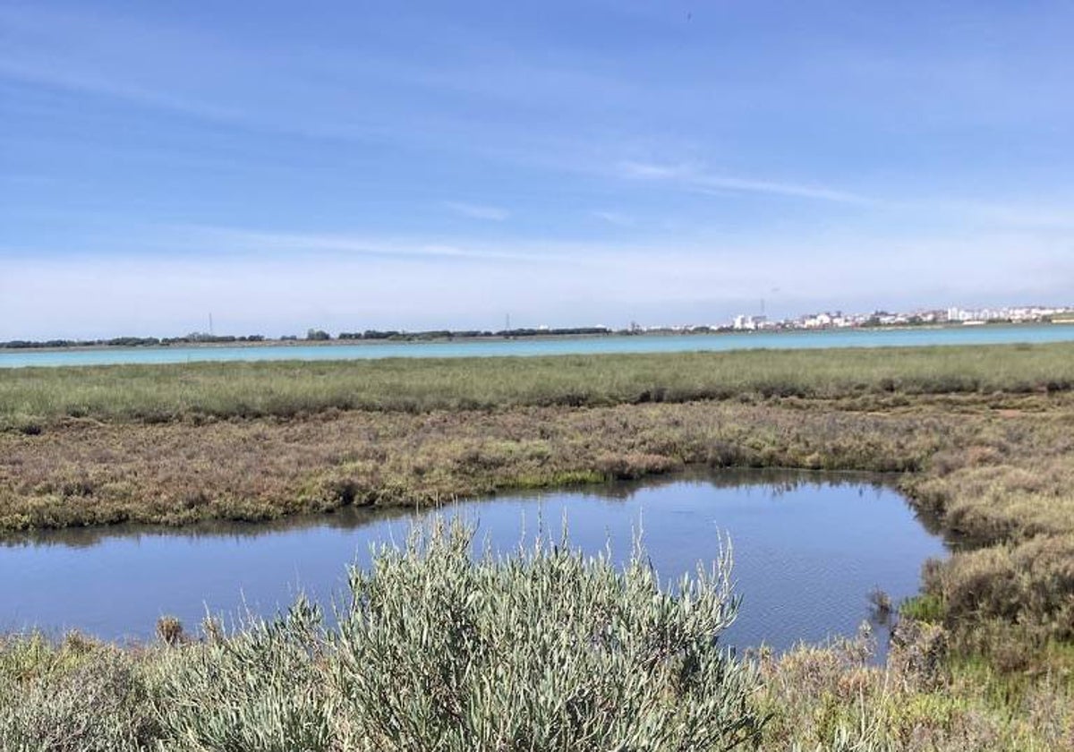 Huelva, desde el paraje de La Rábida