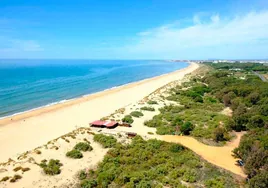 El camping de Huelva que se encuentra a pie de playa rodeado de pinares