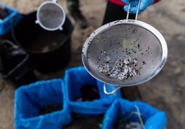 Los pélets encontrados en las playas de Huelva tienen «improbable relación» con el vertido de Galicia